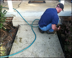 Dead animal removal Lynchburg VA
